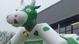 H Hüpfburg Kuh Raiffeisen Markt 