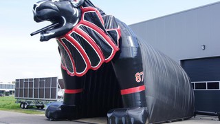 B Zelt New Yorker Lions 