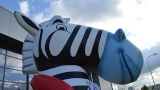 P Zebra Maskottchen 
