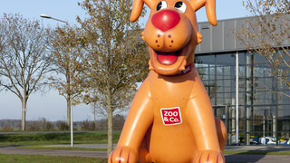 P Hunde Zoo und Co 