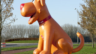 P Hunde Zoo und Co 