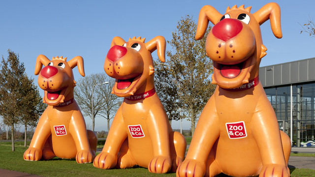 P Hunde Zoo und Co 