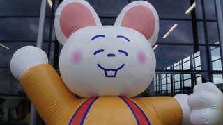 P BingBong 