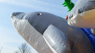 H Hüpfburg Multiplay Delphin 