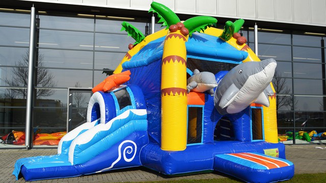 H Hüpfburg Multiplay Delphin 