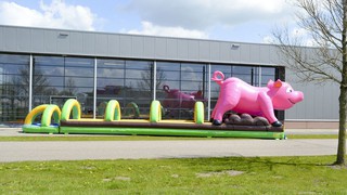 A Bauchrutsche Schwein 