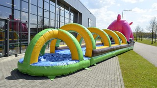 A Bauchrutsche Schwein 