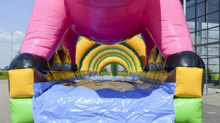 A Bauchrutsche Schwein 