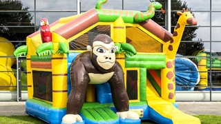 Hüpfburg Multiplay Safari mit Dach 