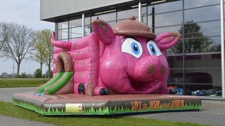 Steven Pig Hüpfburg 