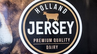 Milchtüte Jersey 