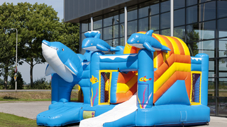 Hüpfburg Multiplay Delfin