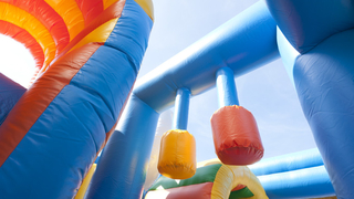 Hüpfburg Multiplay Delfin