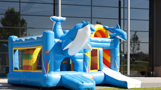 Hüpfburg Multiplay Delfin