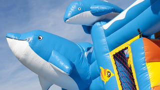 Hüpfburg Multiplay Delfin