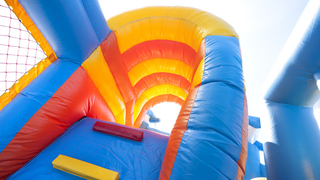 Hüpfburg Multiplay Delfin