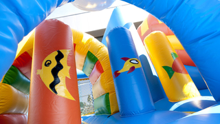 Hüpfburg Multiplay Delfin
