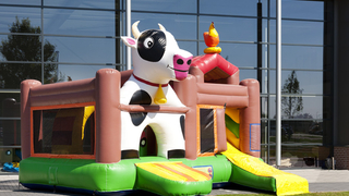 Hüpfburg Multiplay Bauernhof