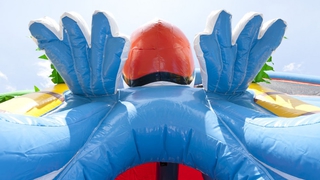 Hüpfburg Multiplay Clownfisch mit Dach
