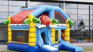 Hüpfburg Multiplay Clownfisch mit Dach