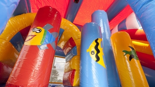 Hüpfburg Multiplay Clownfisch mit Dach