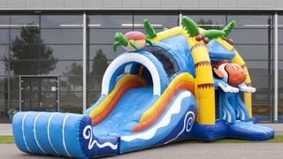 Hüpfburg Multiplay Super Clownfisch