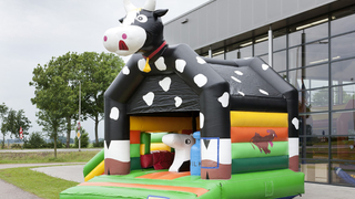 Hüpfburg Multifun Kuh