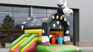 Hüpfburg Multifun Kuh