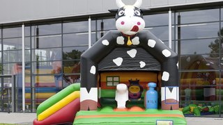 Hüpfburg Multifun Kuh
