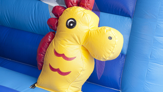 Hüpfburg Multifun Delfin