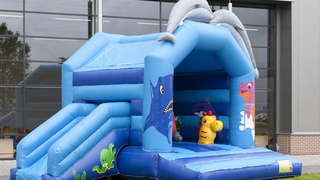 Hüpfburg Multifun Delfin