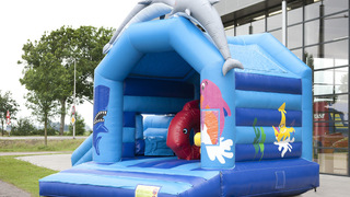 Hüpfburg Multifun Delfin