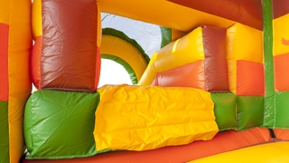 Hüpfburg Multifun Löwe