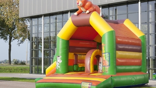 Hüpfburg Multifun Löwe