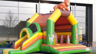 Hüpfburg Multifun Löwe