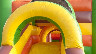 Hüpfburg Multifun Löwe