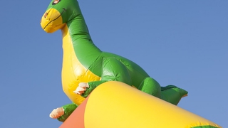 Hüpfburg Multifun Dino