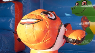 Hüpfburg Multifun Clownfisch