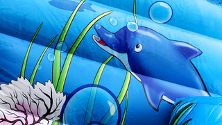 Hüpfburg Maxi Multifun Seaworld