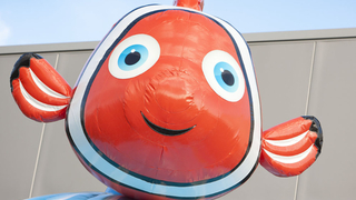Hüpfburg Disco Seaworld