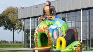 Hüpfburg Disco Dschungel