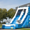 Riesenluftrutsche Delfin