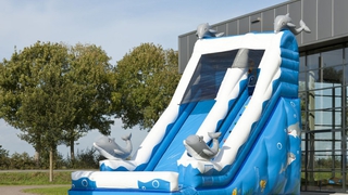 Riesenluftrutsche Delfin
