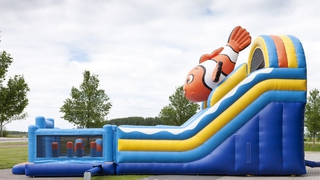 Riesenrutsche Super Clownfisch