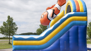 Riesenrutsche Super Clownfisch