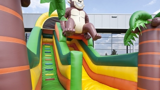 Riesenrutsche Super Gorilla