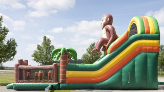 Riesenrutsche Super Gorilla