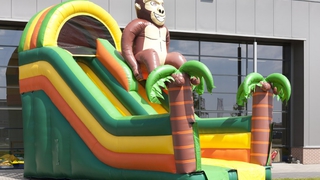 Riesenrutsche Super Gorilla
