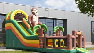 Riesenrutsche Super Gorilla