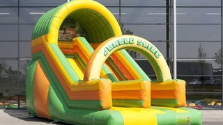 Rutsche Dschungel